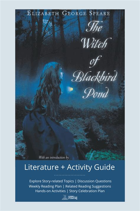 The witch of blackbird pobd book